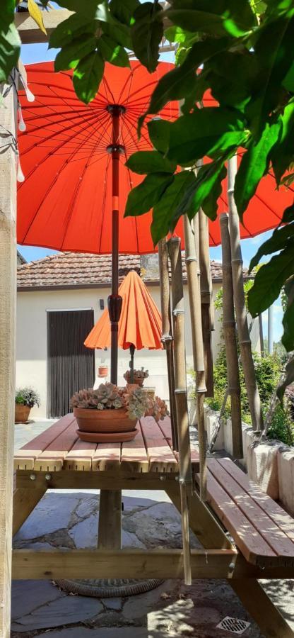Villa Casa De Coco Vila Nova de Poiares Esterno foto